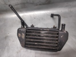Масляный радиатор R1100R 259R